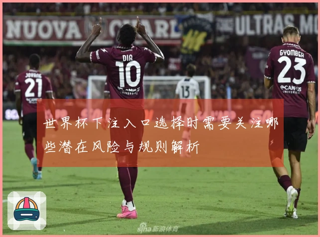 世界杯下注入口选择时需要关注哪些潜在风险与规则解析