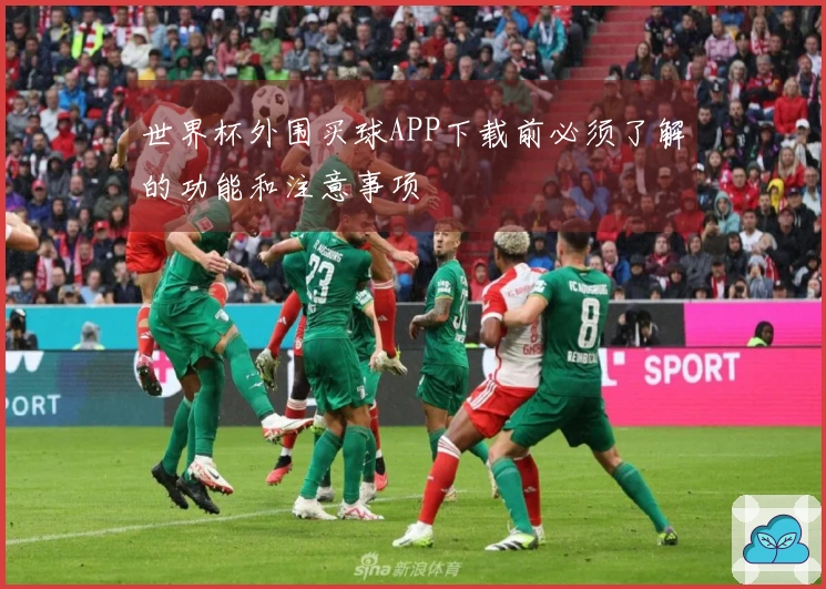 世界杯外围买球APP下载前必须了解的功能和注意事项