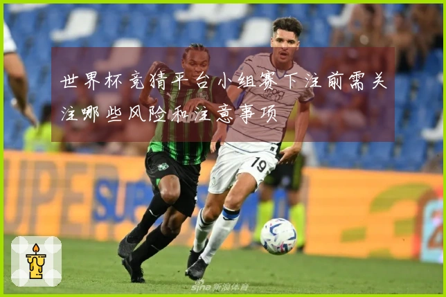世界杯竞猜平台小组赛下注前需关注哪些风险和注意事项