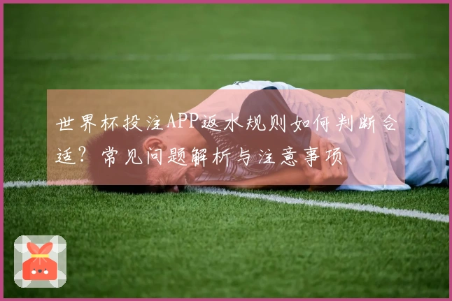世界杯投注APP返水规则如何判断合适？常见问题解析与注意事项