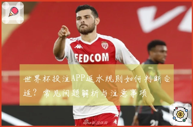 世界杯投注APP返水规则如何判断合适？常见问题解析与注意事项