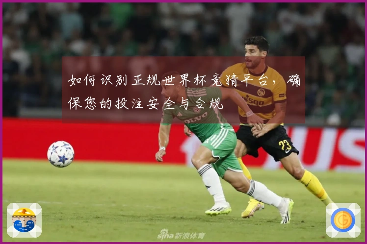 如何识别正规世界杯竞猜平台，确保您的投注安全与合规