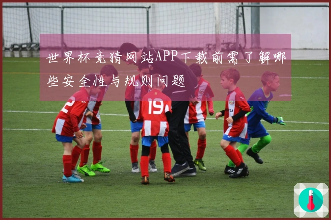世界杯竞猜网站APP下载前需了解哪些安全性与规则问题