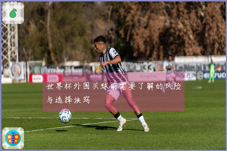 世界杯外围买球前需要了解的风险与选择诀窍
