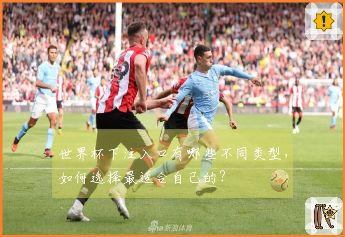 世界杯下注入口有哪些不同类型，如何选择最适合自己的？