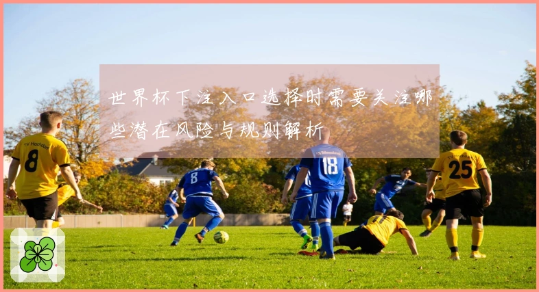 世界杯下注入口选择时需要关注哪些潜在风险与规则解析