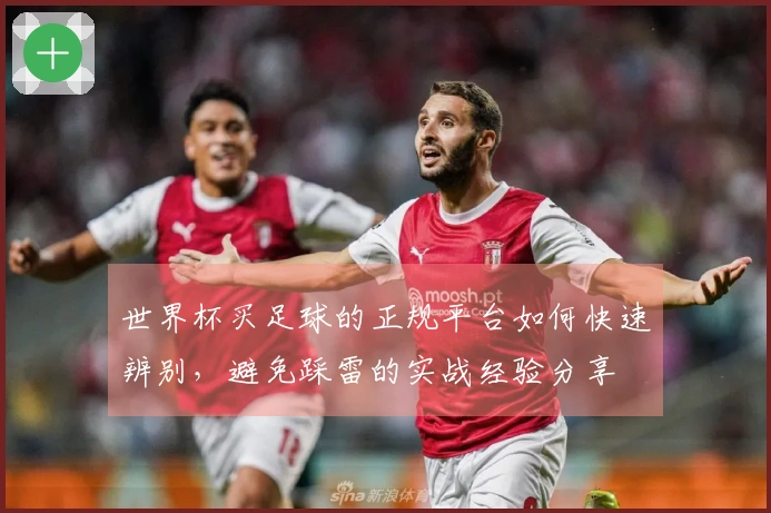 世界杯买足球的正规平台如何快速辨别，避免踩雷的实战经验分享