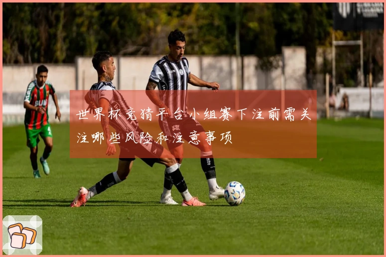 世界杯竞猜平台小组赛下注前需关注哪些风险和注意事项
