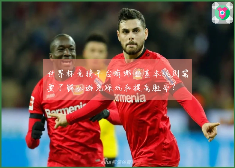 世界杯竞猜平台有哪些基本规则需要了解以避免踩坑和提高胜率？