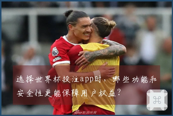 选择世界杯投注app时,哪些功能和安全性更能保障用户权益?